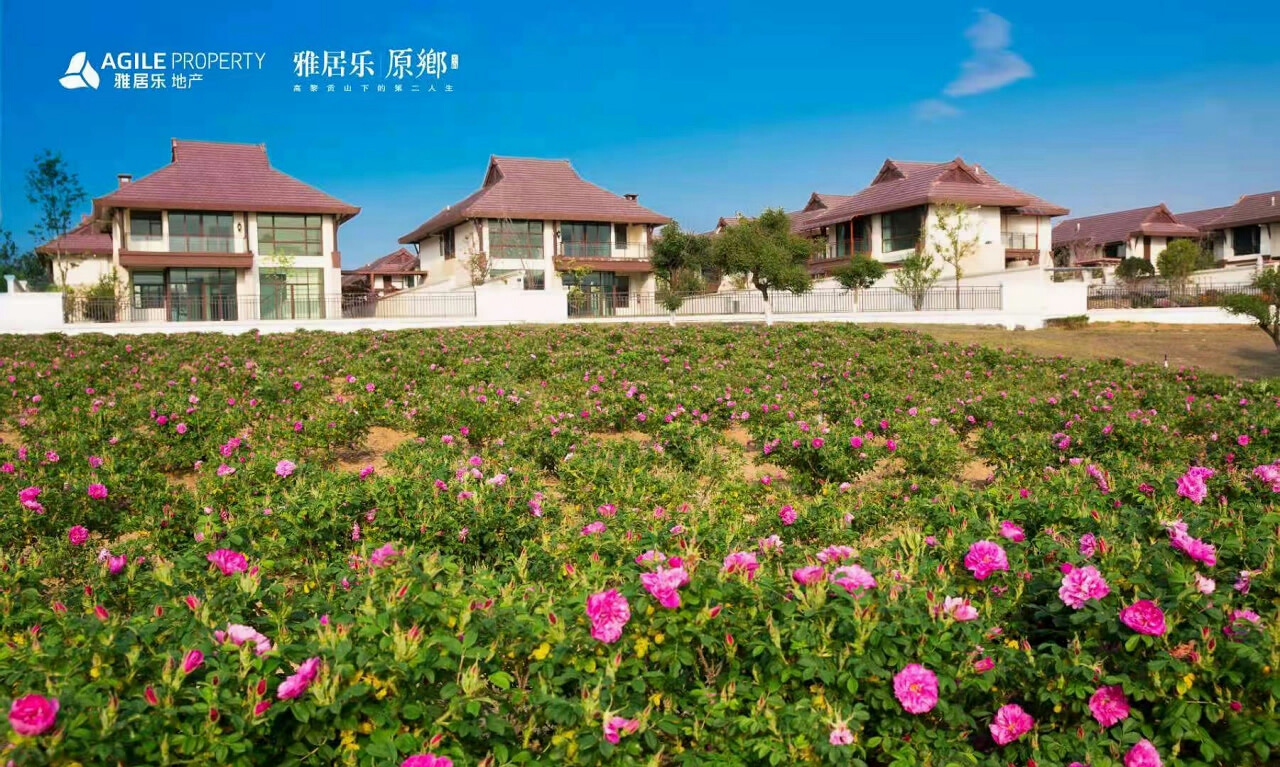騰沖雅居樂原鄉棲花嶺景區