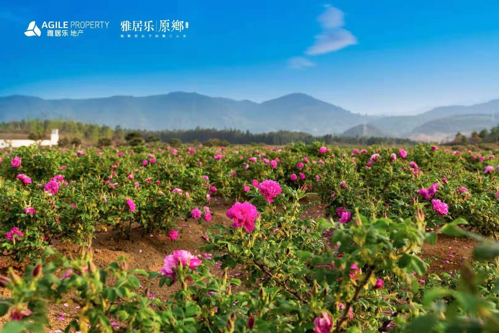 騰沖雅居樂原鄉棲花嶺景區