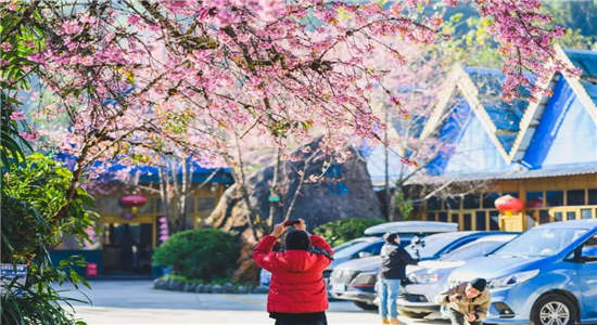 騰沖旅游