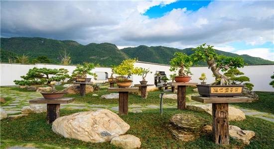 騰沖旅游景點