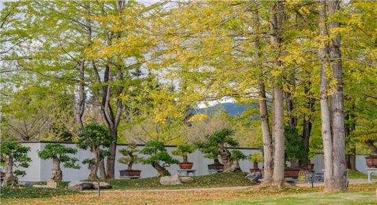 騰沖旅游景點