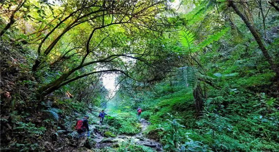 騰沖旅游
