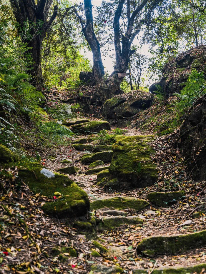 玉璧古道實(shí)景圖