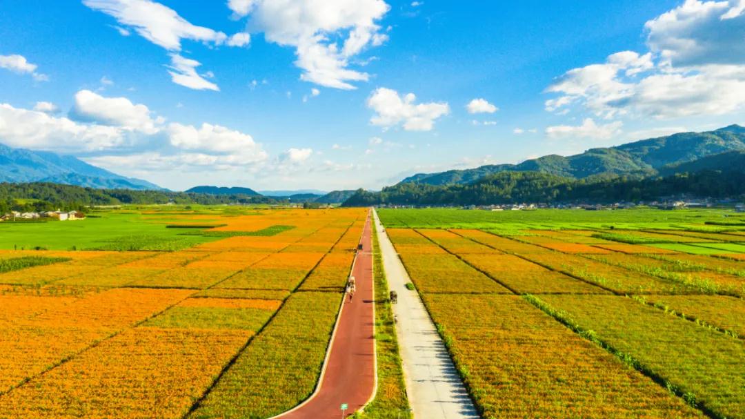 騰沖資訊：來騰沖賞花海之路，玉璧古路，馬幫之路，世界之路，抗戰之路。