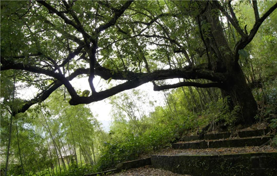 騰沖景區(qū)景點