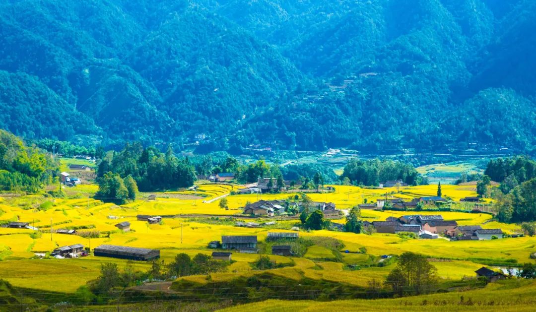 騰沖旅行社：騰沖旅游推薦,騰沖鄉(xiāng)鎮(zhèn)花樣游，陡山日出候君來，芒棒美景伴君行