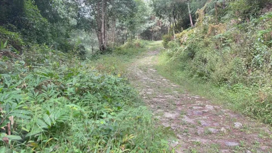 騰沖旅游