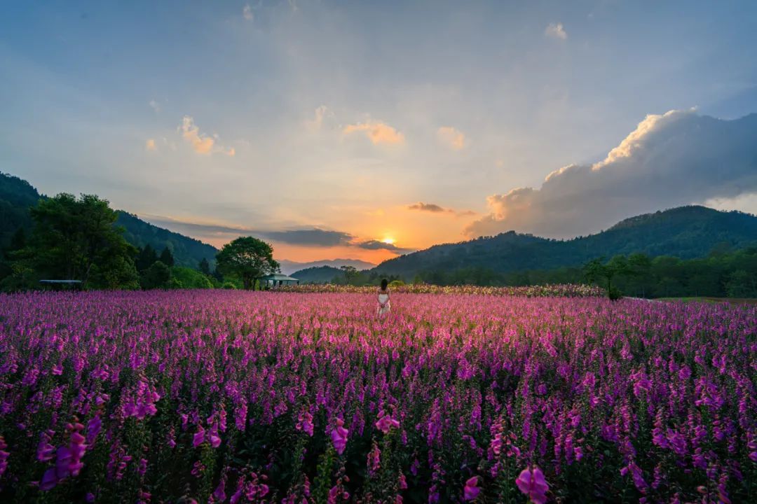 夢幻騰沖